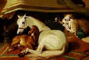 unknow artist Horses 036 oil painting reproduction